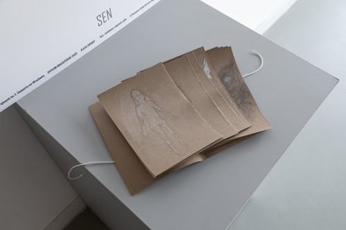 fot. Michał Pietrzak