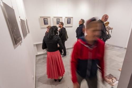 33877547.jpg fot. Michał Pietrzak