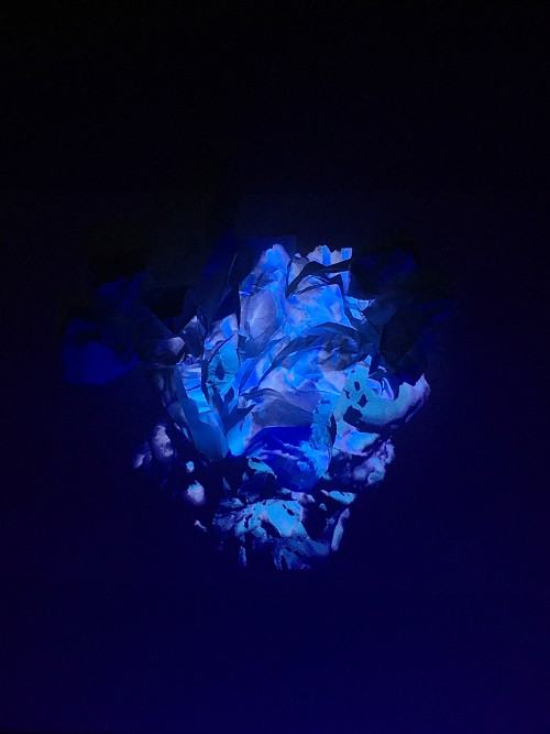 34009078.jpg R. Sochacki