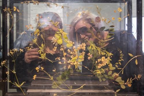 fot. Michał Pietrzak