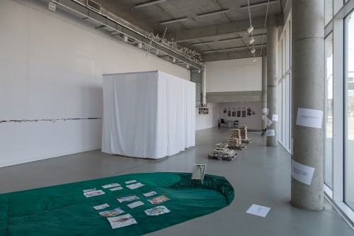 fot. Michał Pietrzak