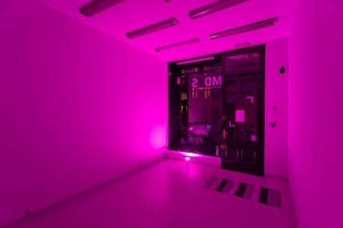 fot. Michał Pietrzak