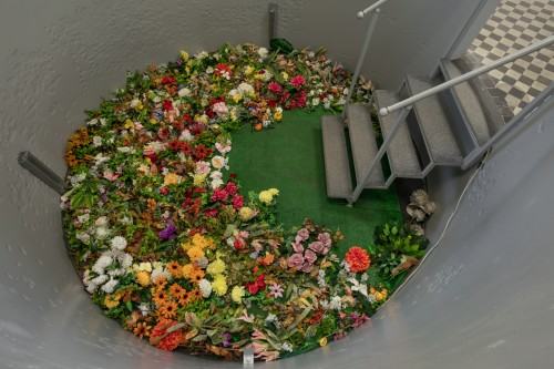 36863087.jpg fot. Michał Pietrzak