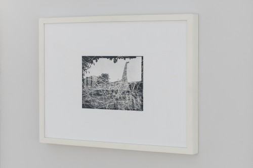 fot. Tomasz Dobiszewski