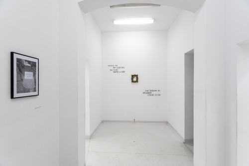 fot. Michał Pietrzak