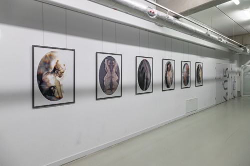 fot. Michał Pietrzak