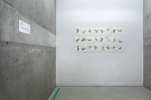 fot. Michał Pietrzak