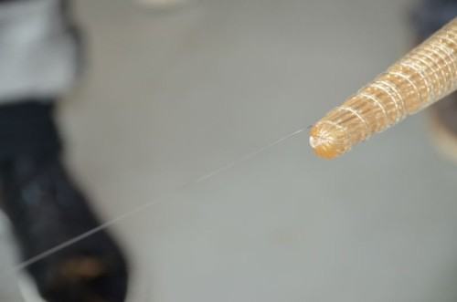 Glass Zone 2014 fot. Alek Figura