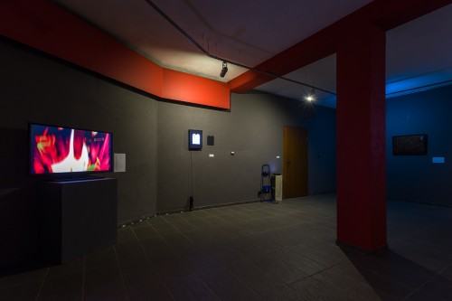 38003926.jpg fot. Michał Pietrzak