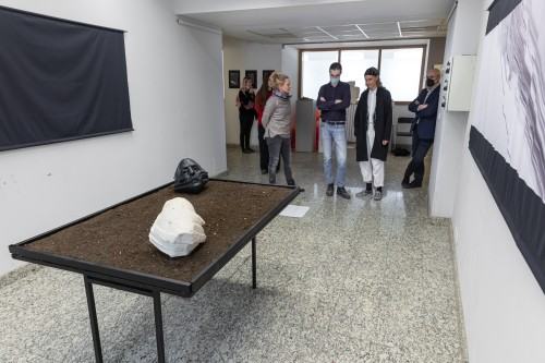 39624730.jpg fot. Michał Pietrzak