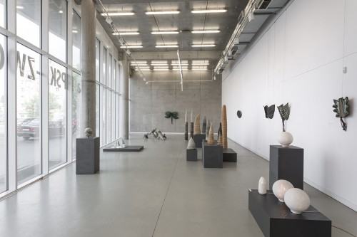 40250366.jpg fot. Michał Pietrzak