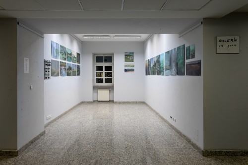 fot. Michał Pietrzak