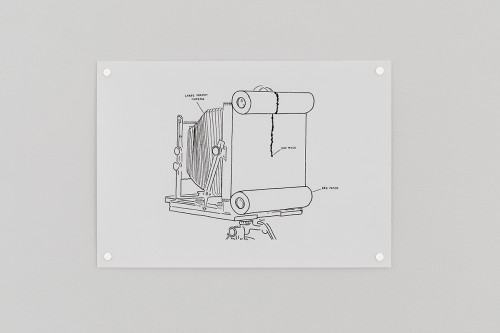 fot. Tomasz Dobiszewski