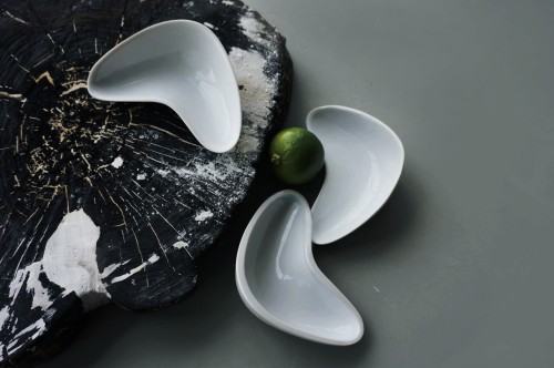 41503323.jpg Kasińska Karolina, Aero, 2016