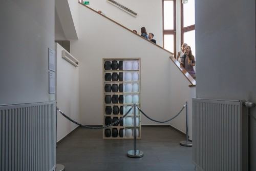 42246022.jpg