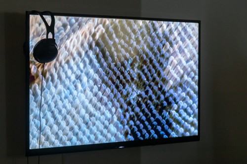 fot. Michał Pietrzak