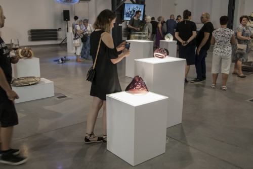 42870575.jpg foto: M. Wodarczyk
