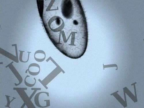 42916526.jpg kadr z filmu Krzysztofa Grudzińskiego