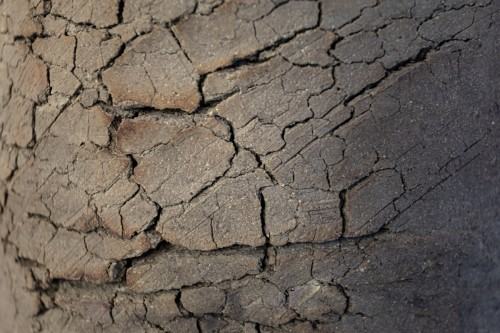 fot. Michał Pietrzak