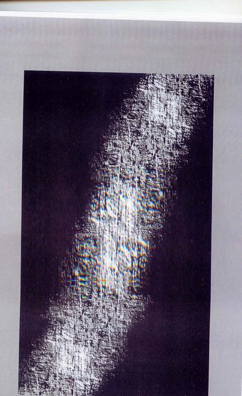 44168077.jpg
