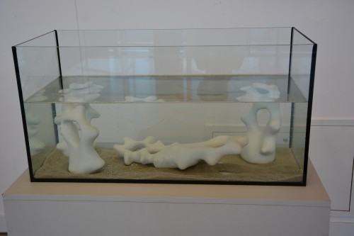 013 Obrony dyplomów licencjackich 2017/Michał Jastrzębski