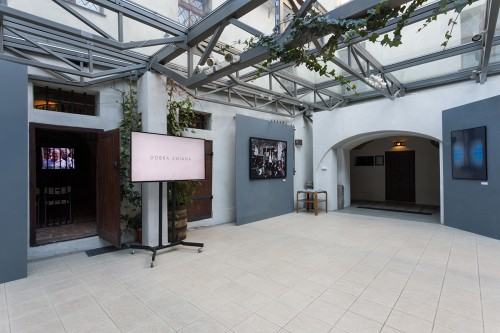 47125908.jpg fot. Michał Pietrzak