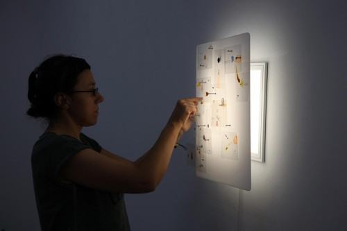 Aga Jarząb Aga Jarząb