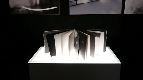 47916495.jpg