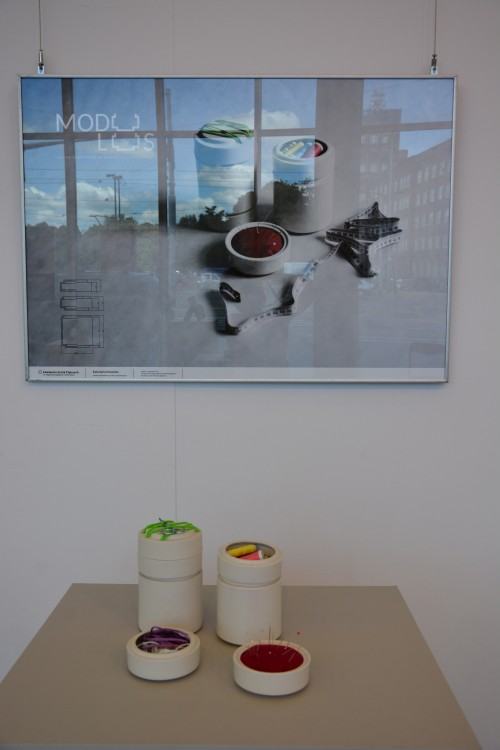 012 Obrony dyplomów licencjackich 2017/Katarzyna Kowalska