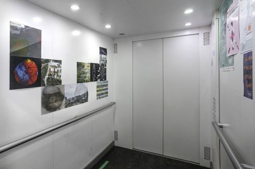 fot. Michał Pietrzak