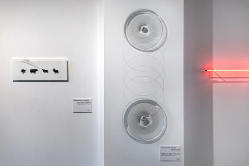 fot. Michał Pietrzak