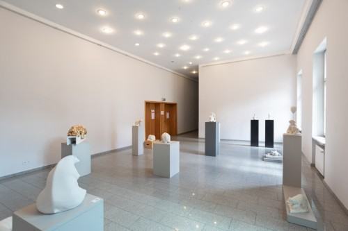 fot. Michał Pietrzak