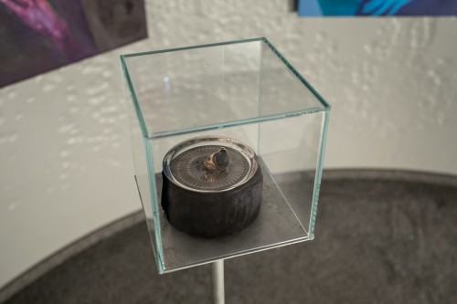 fot. Michał Pietrzak