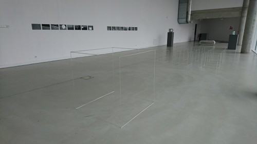 50148251.jpg