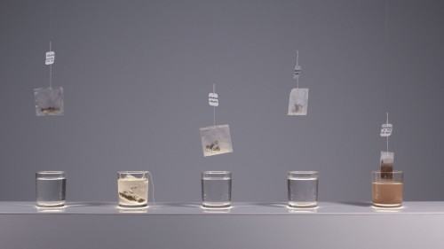 Karolina Gardzilewicz