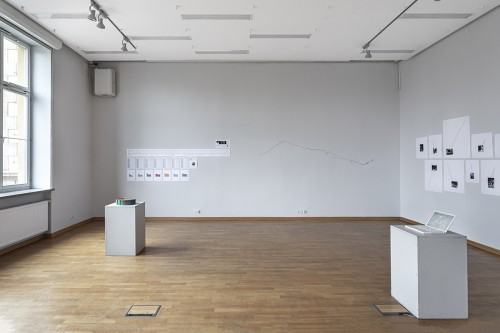 fot. Michał Pietrzak