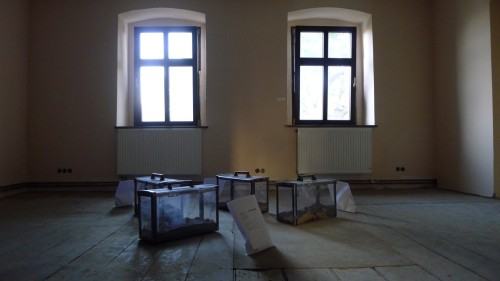51775344.jpg