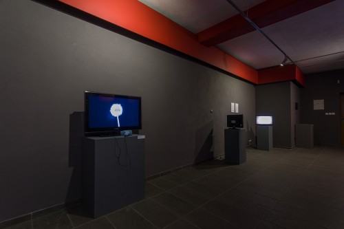 52555568.jpg fot. Michał Pietrzak