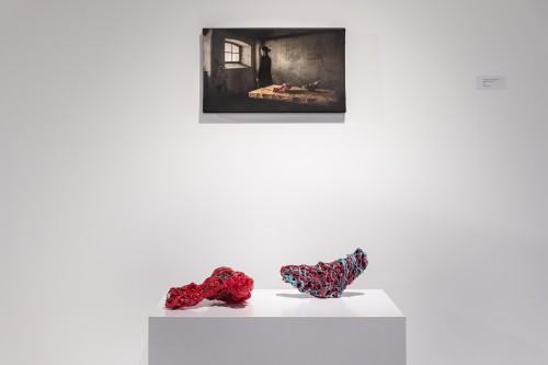 fot. Michał Pietrzak