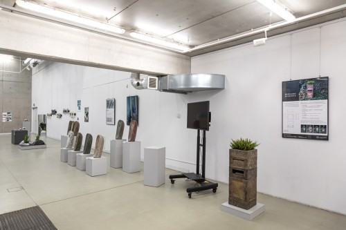 fot. Michał Pietrzak