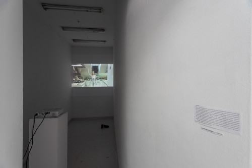 fot. Michał Pietrzak