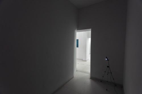 fot. Michał Pietrzak