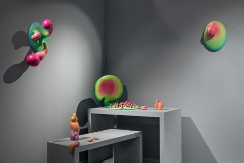 fot. Michał Pietrzak