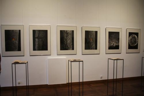 Dyplom  "W moich żyłach żywica” (Anna Świerkosz, Akademia Sztuk Pięknych w Katowicach) - wyróżnienie honorowe