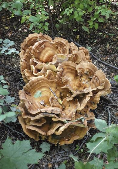 Łukasz Paluch - BE[A]ST