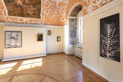 fot. Michał Pietrzak