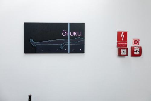 fot. Michał Pietrzak