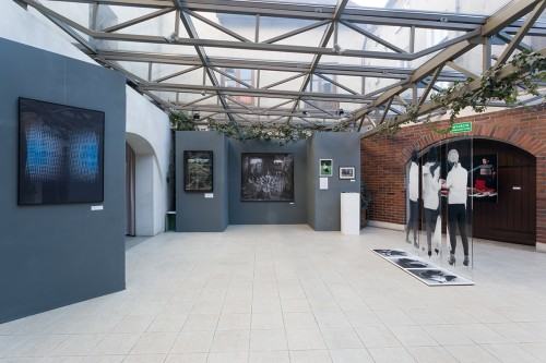 57229003.jpg fot. Michał Pietrzak