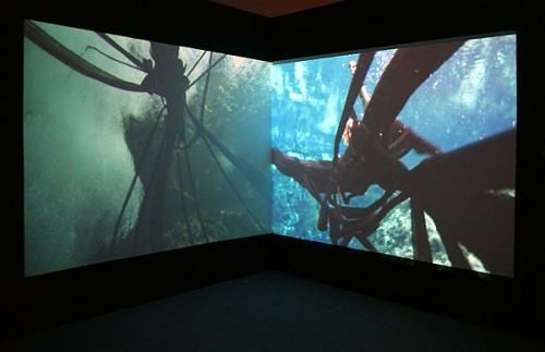 Janaina Tschäpe (USA) – Blood, Sea (2004), instalacja video