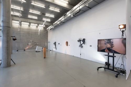 fot. Michał Pietrzak